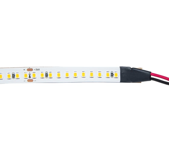 Светодиодная лента ELF 960SMD диодов (2835), 36В, 5м, ЭКСТРА, белый 6500-7000К ELF-960SMD2835NWw-Xtr36