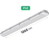 Светодиодный аварийный светильник CSVT SLIM-38 MILKY IP65 3000К c БАП на 3 часа LUXDATOR ЦБ000017421