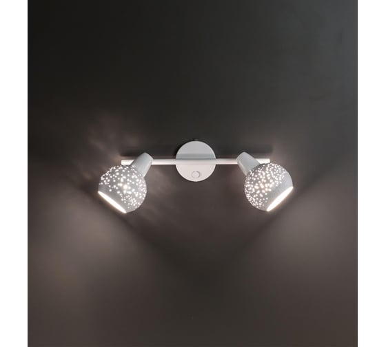 Поворотный спот с выключателем Citilux Деко белый CL504520