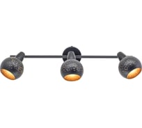 Поворотный спот с выключателем Citilux Деко Черный CL504532