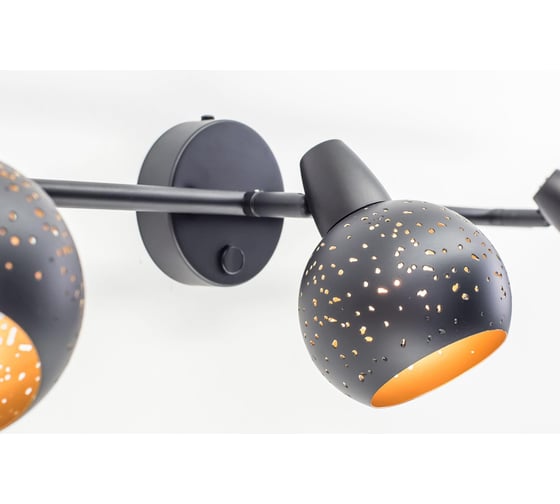 Поворотный спот с выключателем Citilux Деко Черный CL504532