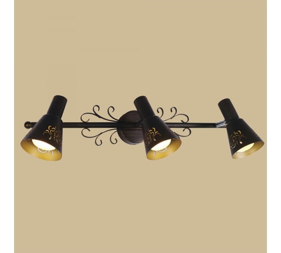 Поворотный Citilux Дункан Коричневый CL529531