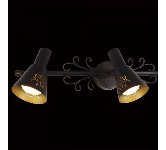 Поворотный Citilux Дункан Коричневый CL529531