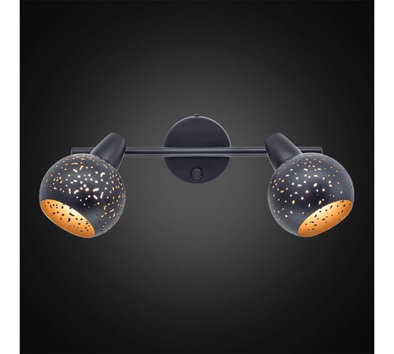 Поворотный спот с выключателем Citilux Деко Черный CL504522