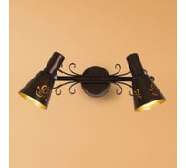 Поворотный спот Citilux Дункан Коричневый CL529521