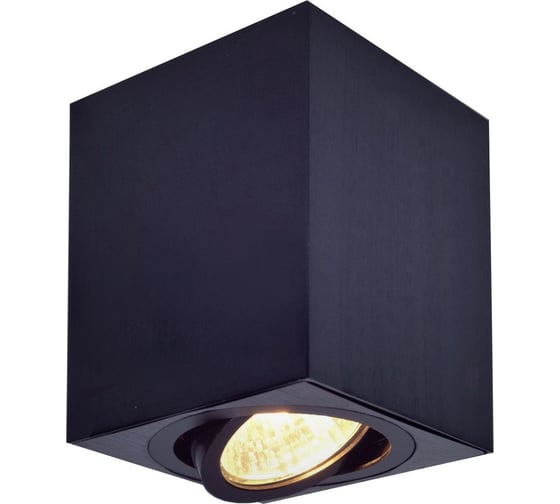 Накладной поворотный светильник Citilux Дюрен Черный CL538213 1