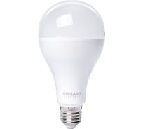 Светодиодная лампа Grisard Electric шар A80 E27 35Вт 6500K GRE-002-0114(1)