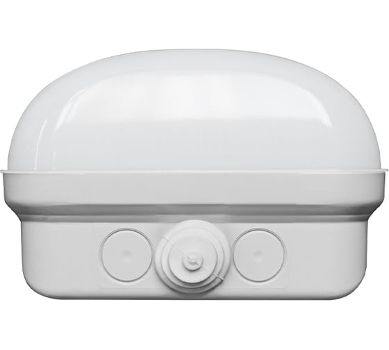 Светодиодный аварийный светильник CSVT Айсберг-38 MILKY IP65 3000К с БАП на 1 час LUXDATOR ЦБ000017432