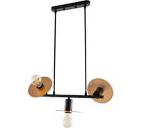 Подвесной светильник Freya Series-009 E27x3х40W FR4009PL-03GB