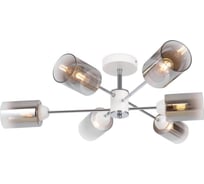 Люстра Freya Omni FR5150PL-06W