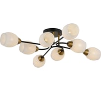 Потолочный светильник Freya Lucid FR5240CL-08B