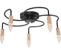 Потолочный светильник Freya new series 010-5 FR4010CL-05GB