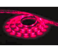 Cветодиодная LED лента FERON 30SMD(5050)/м, 7.2Вт/м, 5м, IP65, 12V, красный LS607 27692