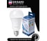 Светодиодная лампа Grisard Electric шар A70 E27 25Вт 6500K (3 штуки) GRE-002-0102(3) 7