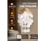 Настенный светильник ARTE LAMP pipirima A4065AP-2SG 2