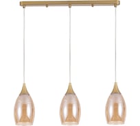Подвесной светильник ARTE LAMP barry A7951SP-3GO