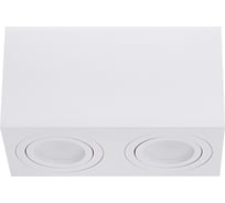 Накладной двойной поворотный светильник truEnergy под лампу 2хGU10 180x95xH90 IP20 белый/алюминий 21342