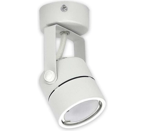 Накладной поворотный светильник truEnergy gu10 d50xh130 ip20 белый/металл 21344
