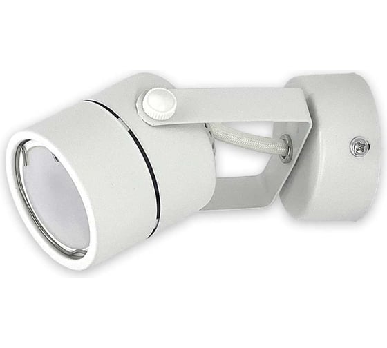 Накладной поворотный светильник truEnergy gu10 d50xh130 ip20 белый/металл 21344