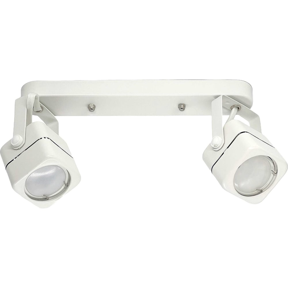 Накладной двойной поворотный светильник truEnergy 2хGU10 D60xH130xL260 ...