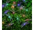 Гирлянда на солнечной батарее INBLOOM, 25LED, 7м, мульти, 2 режима, стрекоза, ПВХ, 2V80mA, 1.2V600mAh 185-041 1