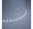 Cветодиодная LED лента FERON 60SMD(2835)/м, 4.8Вт/м, 1м, IP65, 12V белый холодный LS604 27752 2