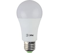 Светодиодная лампа ЭРА LED smd A60-15W-840-E27 Б0020593