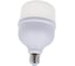 Светодиодная лампа ЭРА LED smd POWER 30W-4000-E27 Б0027003 2