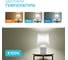 Лампа Gauss LED Elementary MR16 GU5.3 3.5W 4100K SQ 13524 8