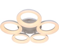 Потолочная люстра Stilfort Rindel 2085/01/05C