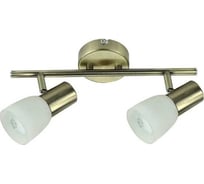 Спот POWERLIGHT STANDART 2ХE14x40W белый/бронза 3040/2-1BZ