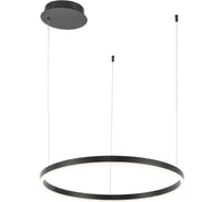 Подвесная люстра Stilfort Planetary 4005/02/01P+CB