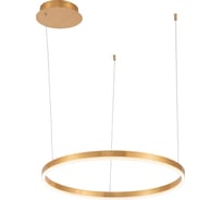 Подвесная люстра Stilfort Planetary 4005/05/01P+CB