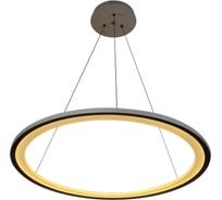 Подвесная люстра Stilfort Hoop 2087/91/01C