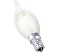 Лампа накаливания с матовой колбой, свеча на ветру 40/CW/FR/E14 Camelion MIC 11278