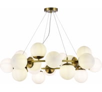 Подвесная люстра Evoluce FRATTA SLE1191-203-20