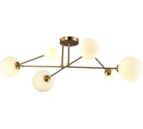Потолочная люстра Evoluce FANTINI SLE2211-302-06