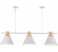 Подвесной светильник Evoluce MODICA SLE125103-03