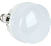 Светодиодная лампа 60W 230V E40 6400K Feron LB-65 25782