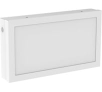 Аварийно-эвакуационный светильник VARTON "вартон" vault серии advanced 12w 440x240x48мм ip54 1,5ч V1-C0-00432-01A01-5401265