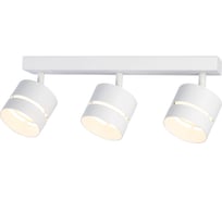 Спот Ambrella Light TECHNO SPOT TN71062