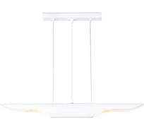 Подвесной светильник Ambrella Light TECHNO SPOT TN5155