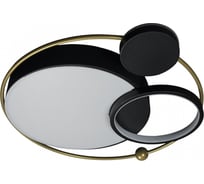 Накладной светильник LOFT IT Mike 10064