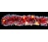 Гирлянда FERON CL80 220V, 20LED, теплый белый, 2м, IP20 26886 2