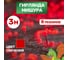 Гирлянда Neon-Night Мишура 3м, прозрачный ПВХ, 288 LED красные 303-602 2