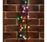 Гирлянда Neon-Night Мультишарики d=25мм, 5м, темно-зеленый ПВХ, 25LED RGB 303-559 1