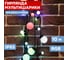 Гирлянда Neon-Night Мультишарики d=17,5мм, d=23мм, d=45мм, 10м, черный ПВХ, 80LED RGB 303-589 3