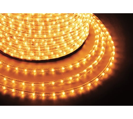 Гирлянда дюралайт Neon-Night, двухжильная, 230В, 13мм, 30 LED/м желтый, бухта 100м 121-121-6