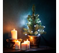 Гирлянда-нить Neon-Night 4м, темно-зеленый ПВХ, 25 LED Белые 303-015