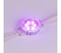 Управляемый модуль Arlight SPI-F6-D40 24V RGB-RAM-Auto 60 шт 036828 5
